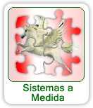 Sistemas a Medida