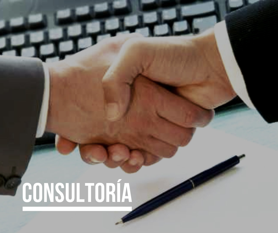 consultoria informatica